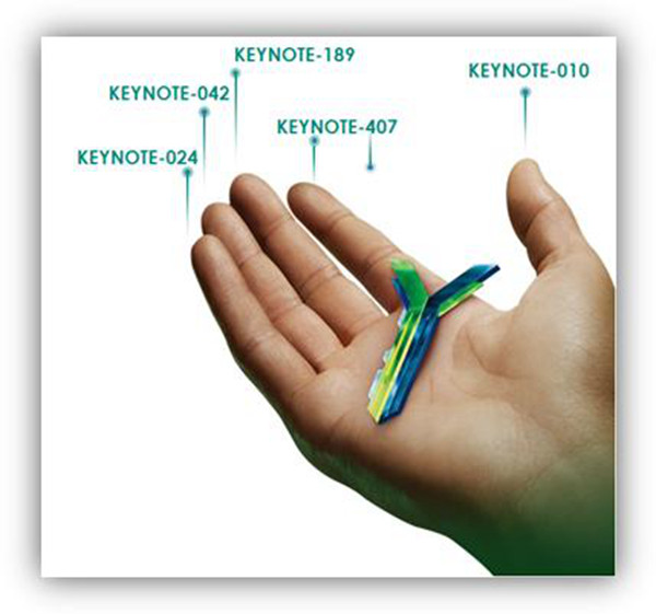 keynote6.jpg