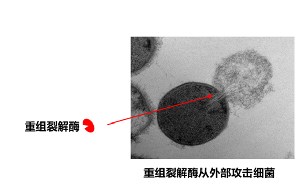 微信图片_20221009172623.png