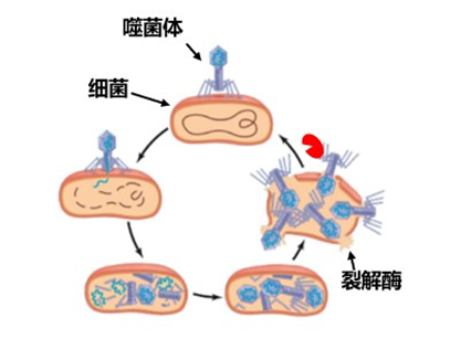微信图片_20221009172606.png