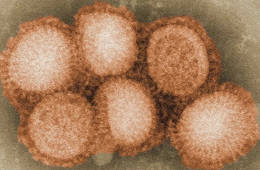 新冠变异毒株“奥密克戎”为何让全球“一级戒备”？